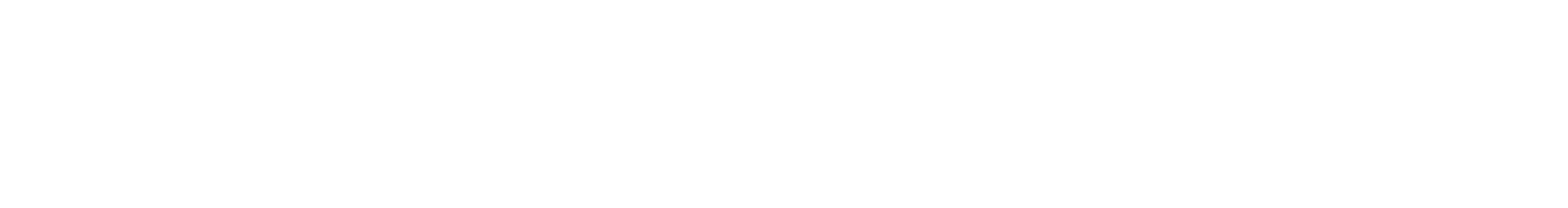 Next Generation Systems Logo
